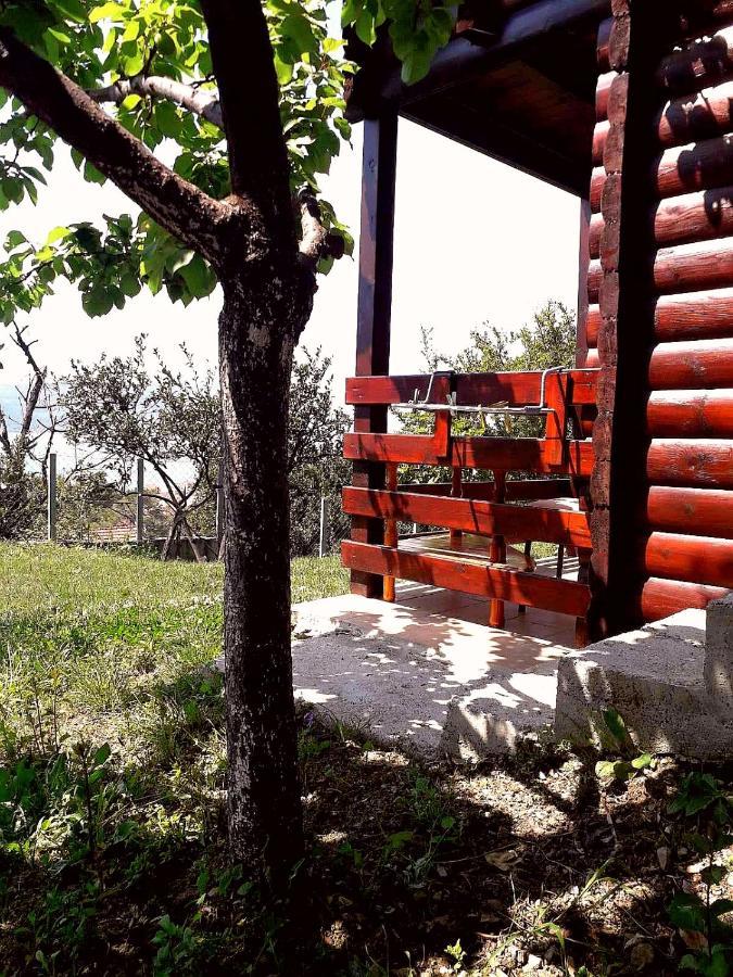 蒂瓦特Timber House别墅 外观 照片
